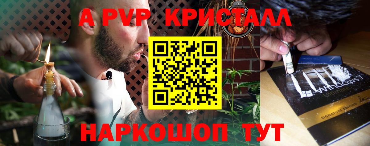 A PVP СК КРИС Искитим