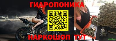 эйфоретик Будённовск