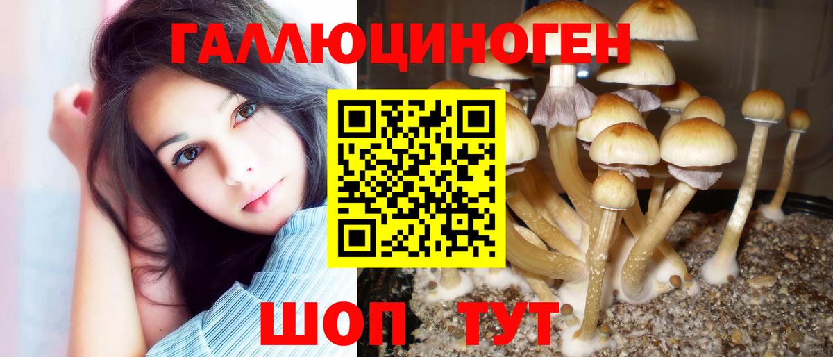 Псилоцибиновые грибы GOLDEN TEACHER  Псилоцибиновые грибы MAGIC MUSHROOMS  Вход с VPN  Искитим 